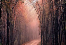 官方：中國U16和平杯邀請賽移師沈陽城市體育場.