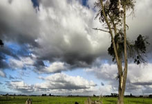 明陞体育：中超第4輪天津津門虎1-1成都蓉城 甘超破門王秋明扳平救主.