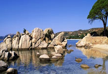 官方：中國U16和平杯邀請賽移師沈陽城市體育場.